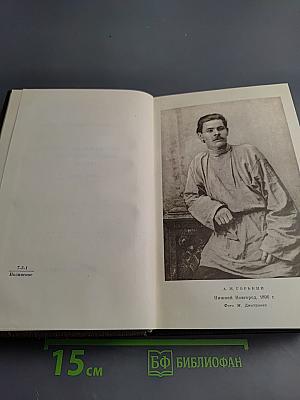 Собрание сочинений. Том второй: Рассказы, очерки, наброски, стихи. 1894–1896