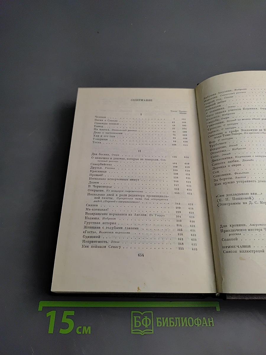 Собрание сочинений. Том второй: Рассказы, очерки, наброски, стихи. 1894–1896