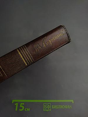 Собрание сочинений. Том второй: Рассказы, очерки, наброски, стихи. 1894–1896