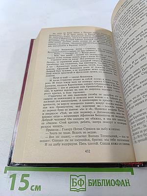 Слово и дело. Том 1. Книга первая. Царица престрашного зраку