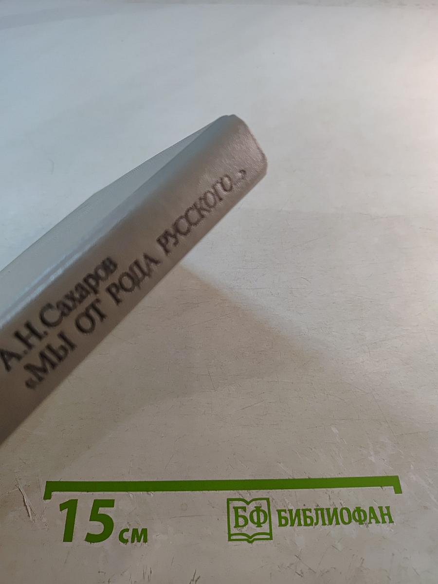 Мы от рода русского...: Рождение русской дипломатии