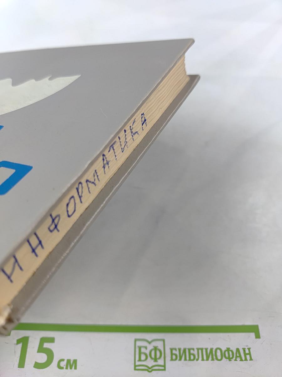 Занимательная информатика