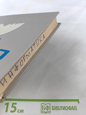 Занимательная информатика