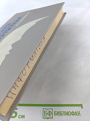 Занимательная информатика