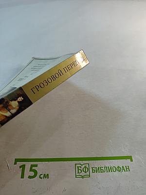 Грозовой перевал