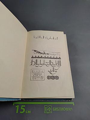 Дипломатический агент