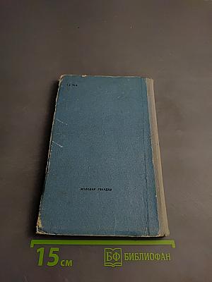 Дипломатический агент