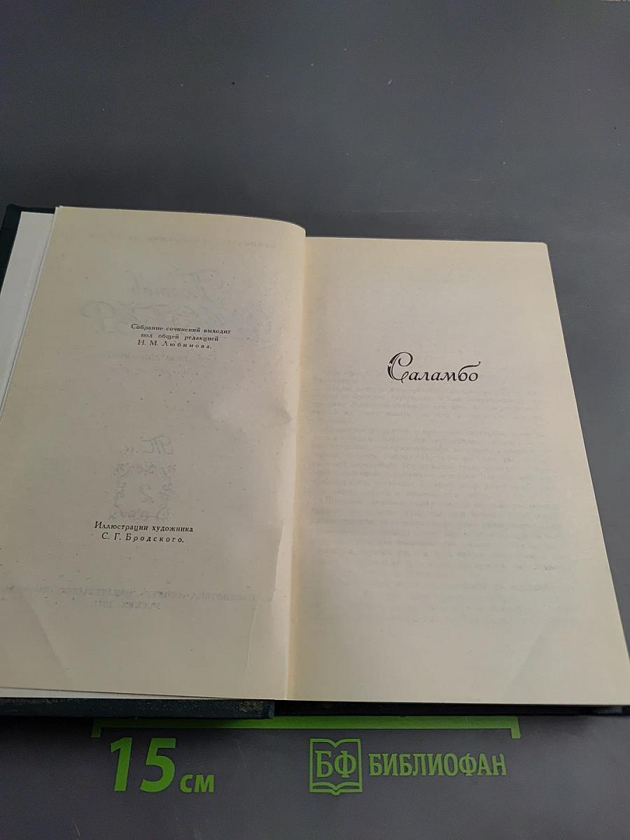 Гюстав Флобер. Собрание сочинений в четырех томах. Том 2: Саламбо. Кандидат