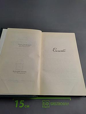 Гюстав Флобер. Собрание сочинений в четырех томах. Том 2: Саламбо. Кандидат