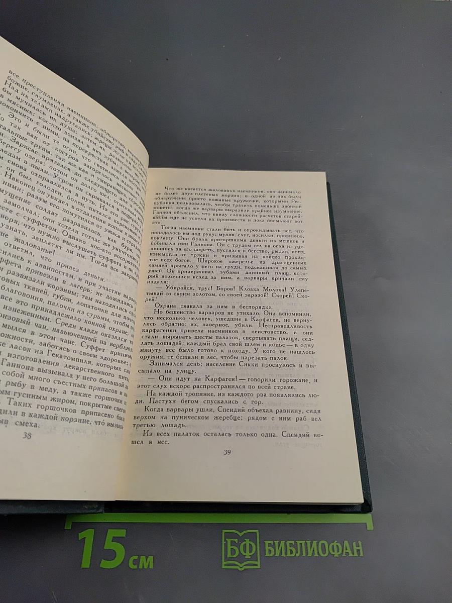 Гюстав Флобер. Собрание сочинений в четырех томах. Том 2: Саламбо. Кандидат