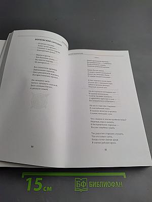 Петербургские строфы