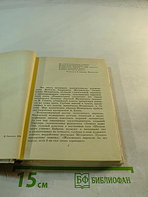 Жуковский в Петербурге