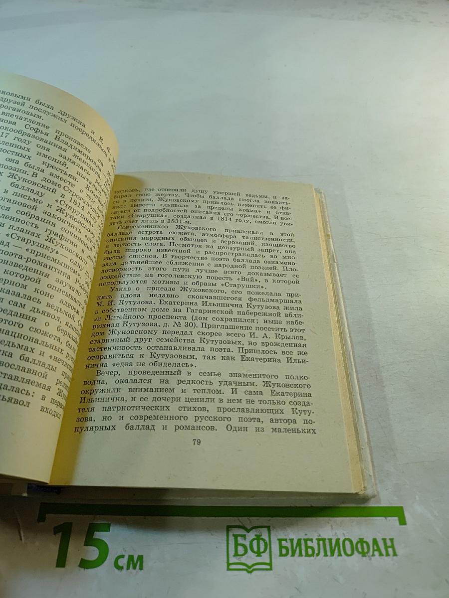 Жуковский в Петербурге