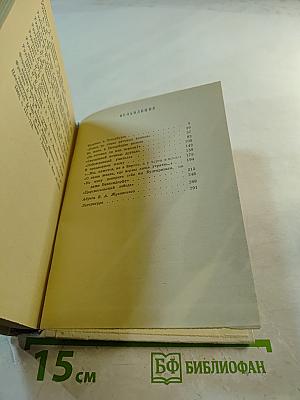 Жуковский в Петербурге