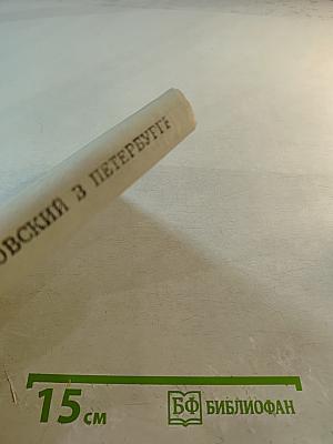 Жуковский в Петербурге