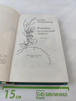 В полдень на солнечной стороне