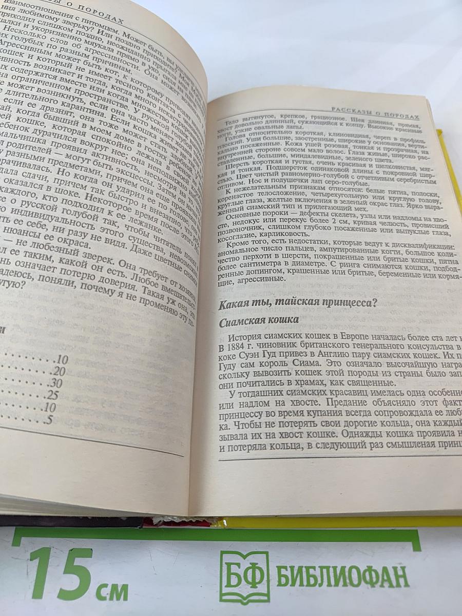 300 кошачьих "почему?"