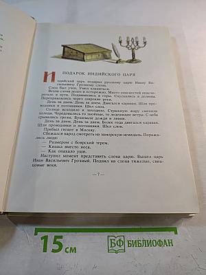 Суровый век