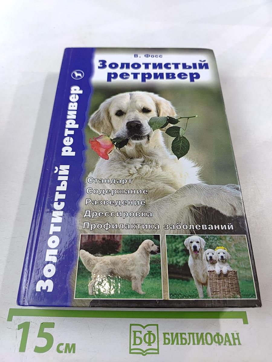 Золотистый ретривер