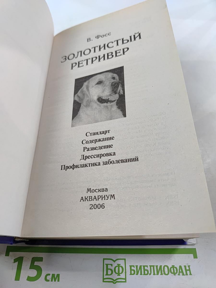 Золотистый ретривер