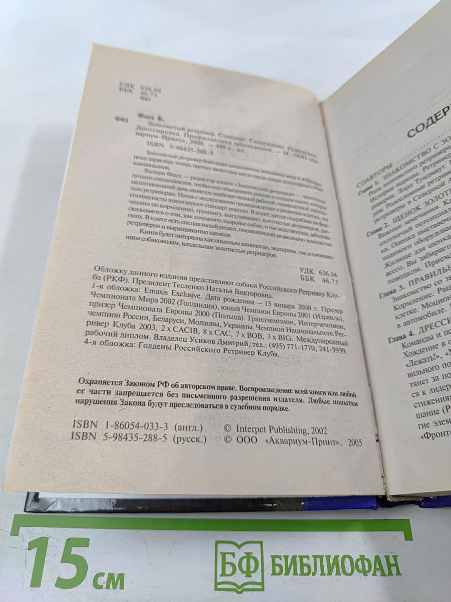 Золотистый ретривер