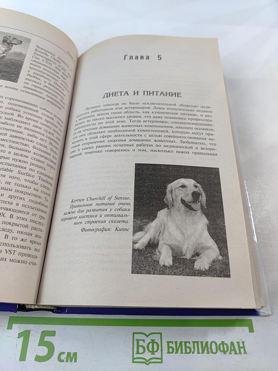 Золотистый ретривер