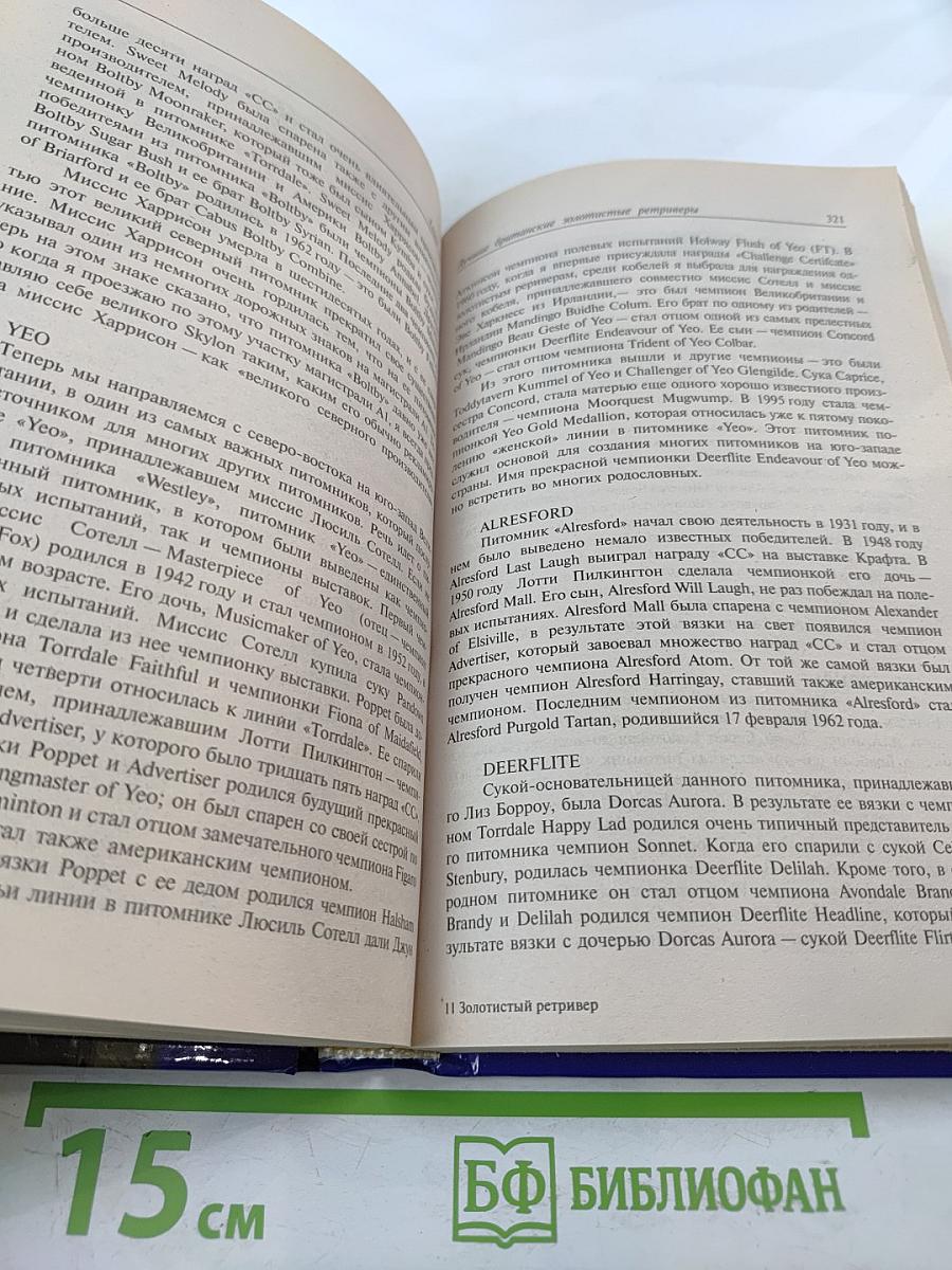 Золотистый ретривер