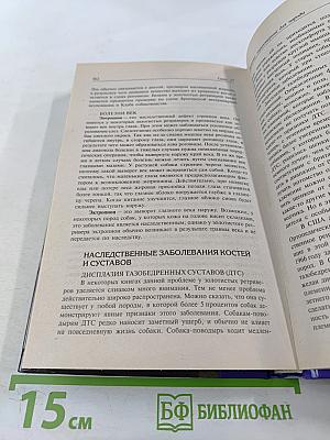 Золотистый ретривер