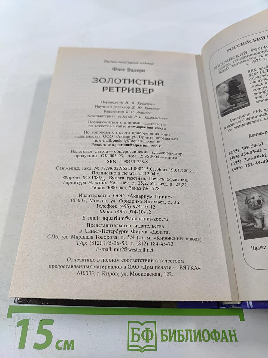 Золотистый ретривер