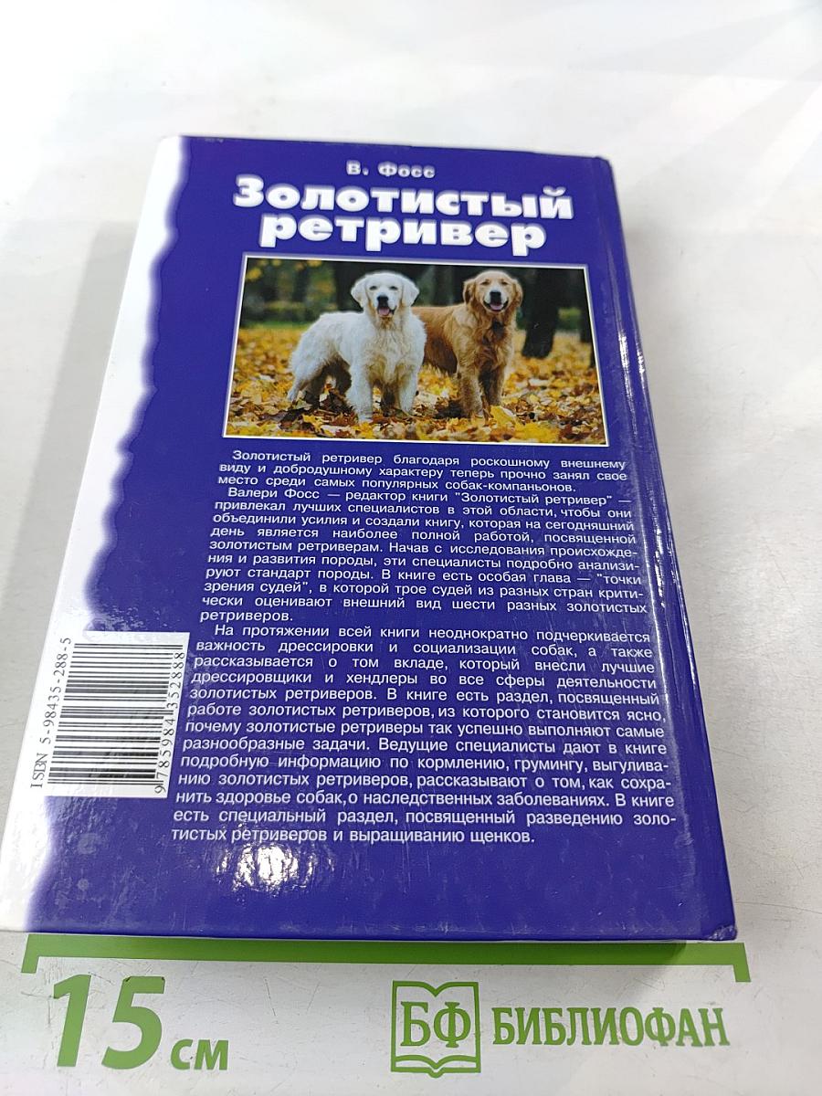 Золотистый ретривер