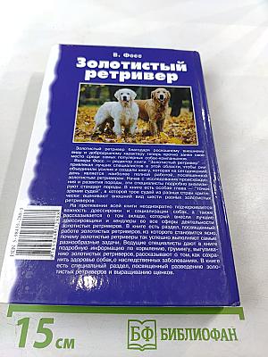 Золотистый ретривер