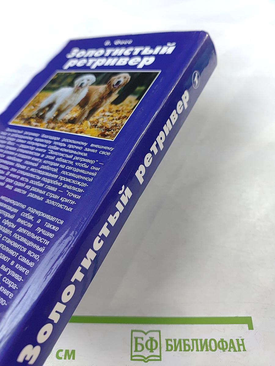 Золотистый ретривер