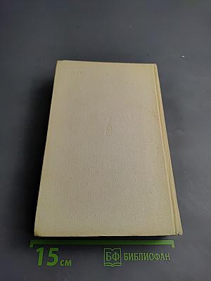 Русский лес