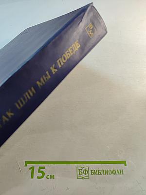 Так шли мы к Победе