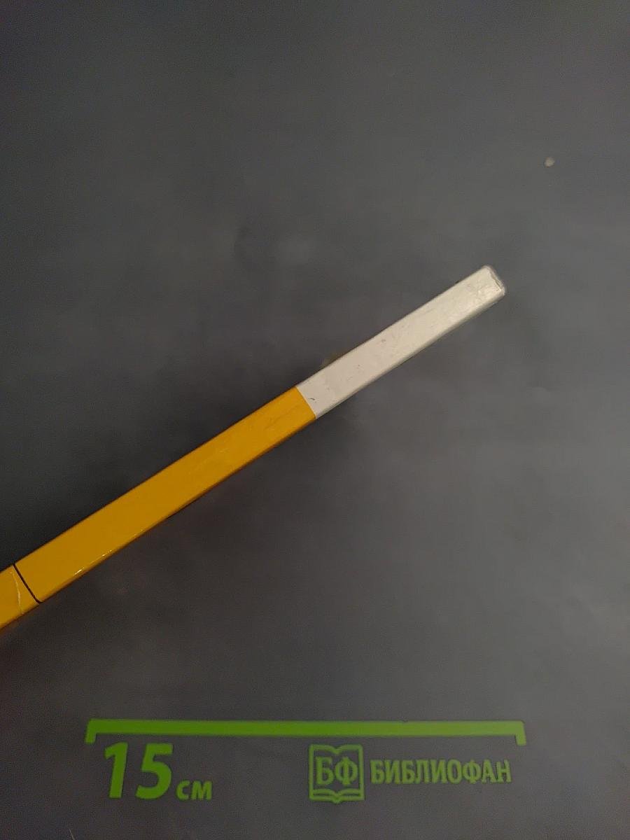 Жизнь и смерть Маноэла дос Сантоса Гарринчи