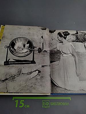 Рожденный молнией Зевса