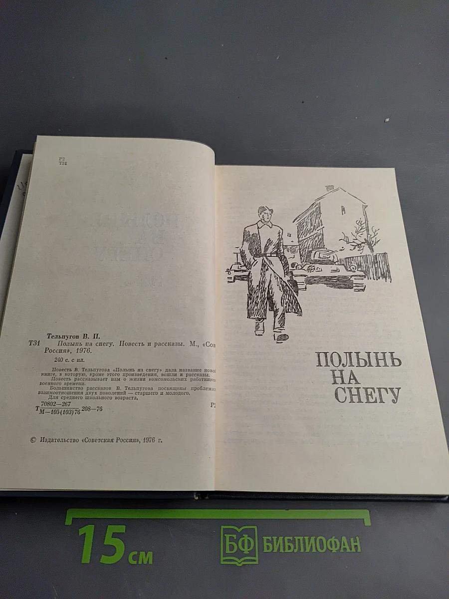 Полынь на снегу