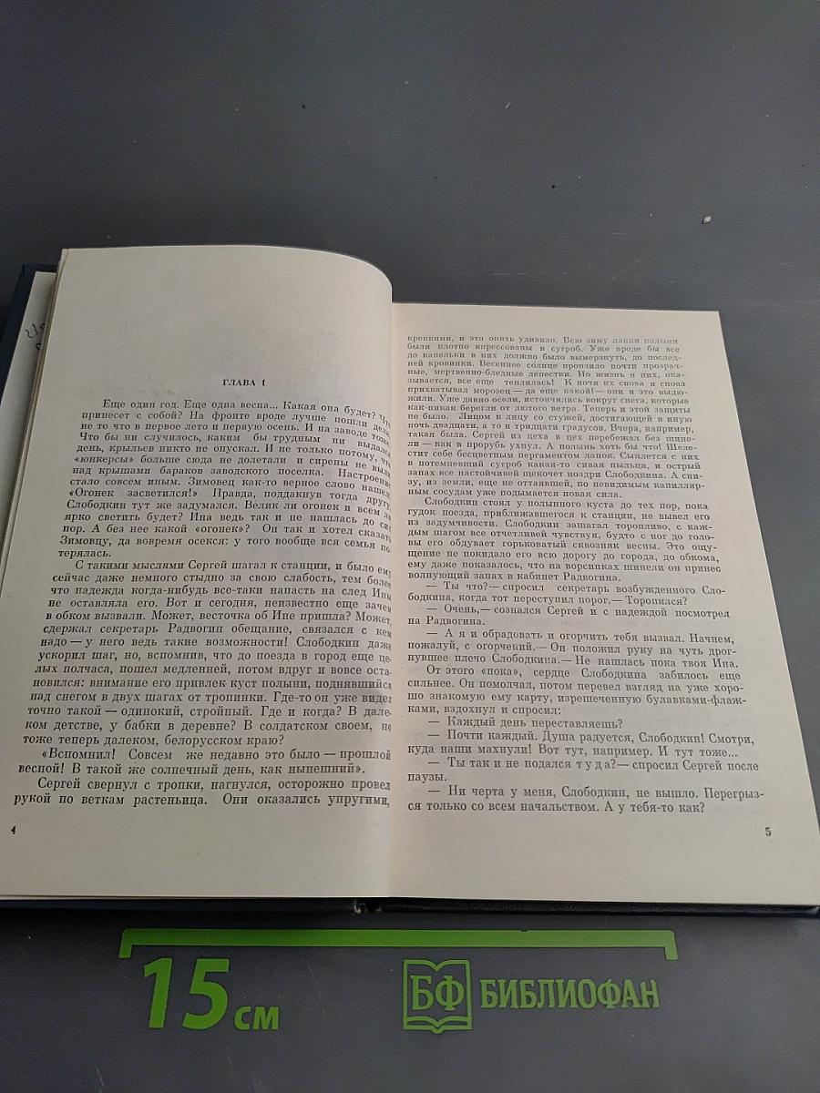 Полынь на снегу