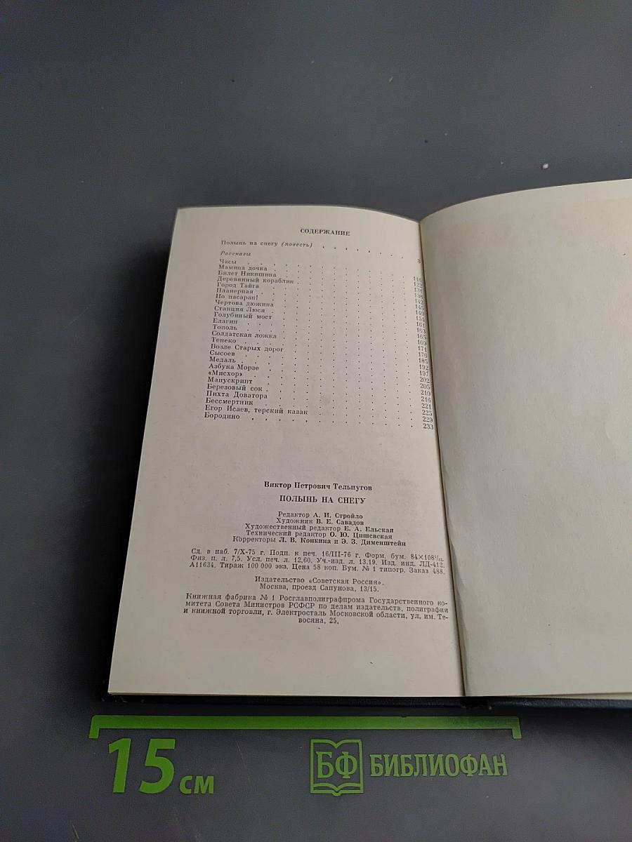 Полынь на снегу