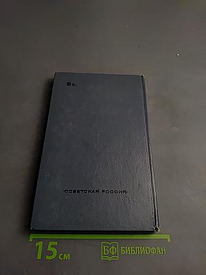 Полынь на снегу