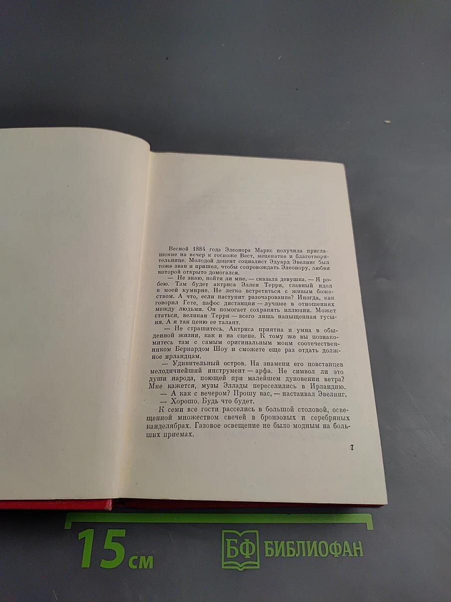 Предвестие. Женщины эпохи Французской революции, том 5
