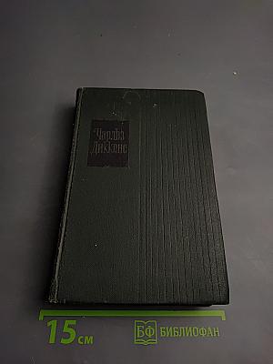 Торговый дом Домби и Сын. Том тринадцатый