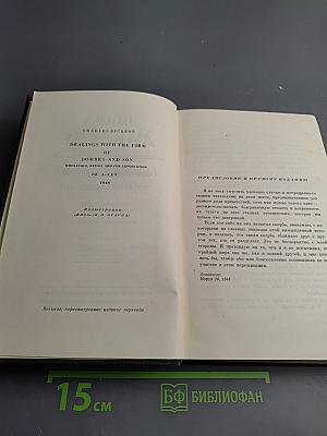 Торговый дом Домби и Сын. Том тринадцатый