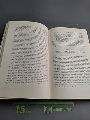 Торговый дом Домби и Сын. Том тринадцатый