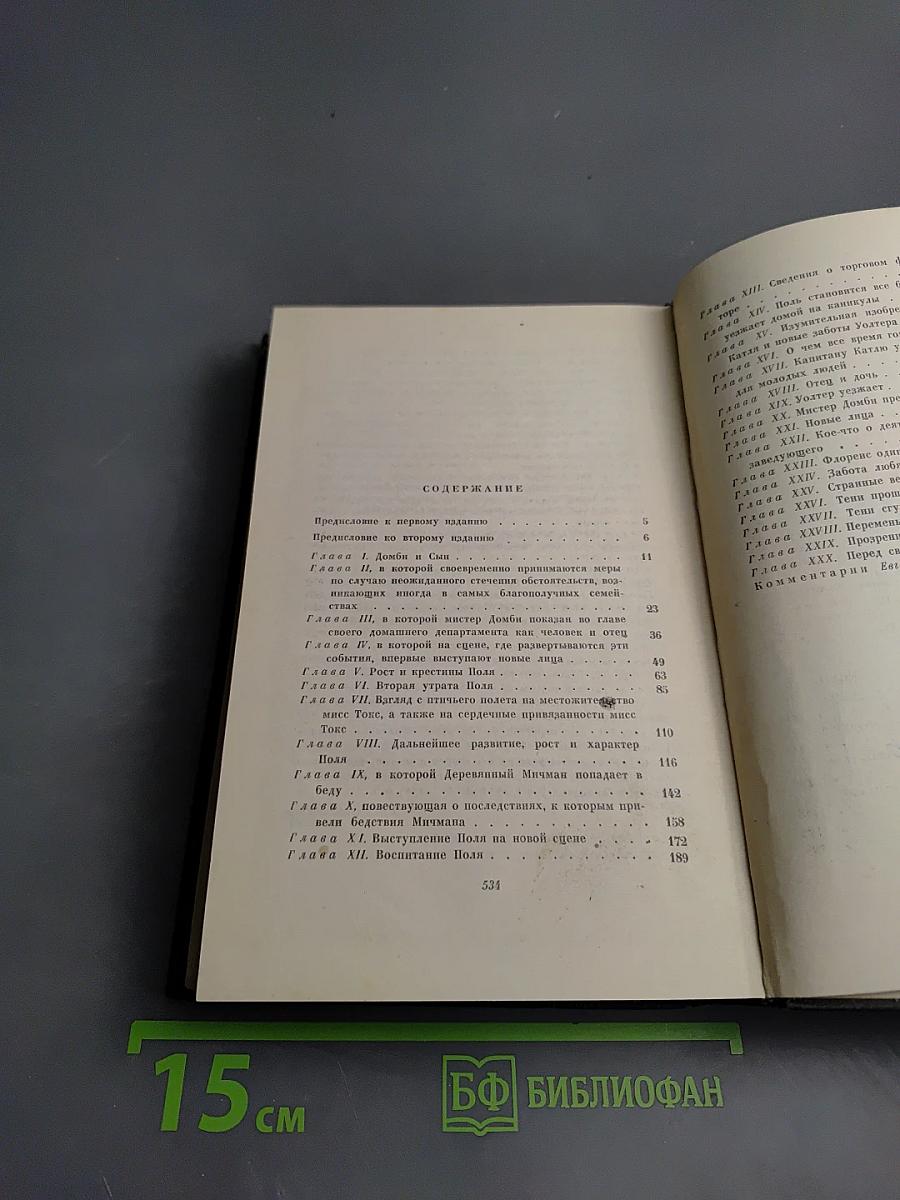 Торговый дом Домби и Сын. Том тринадцатый