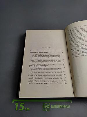 Торговый дом Домби и Сын. Том тринадцатый