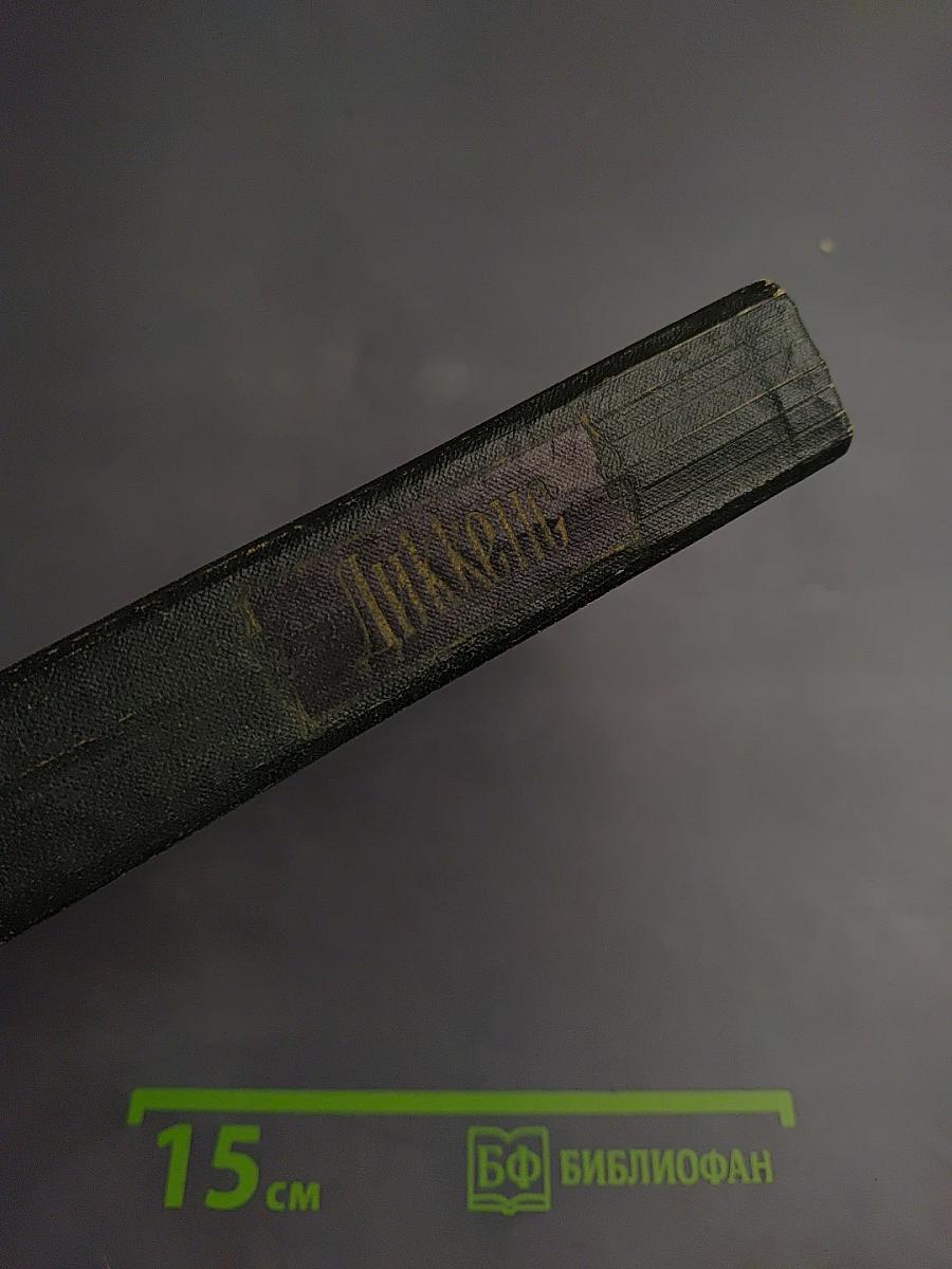 Торговый дом Домби и Сын. Том тринадцатый