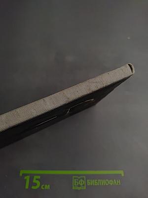 Мы вернемся за подснежниками