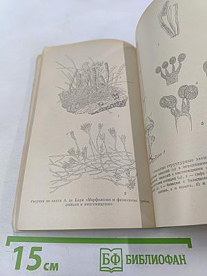 Антон де БАРИ