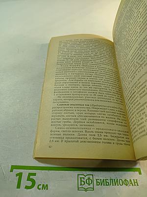 Как защитить сад от вредителей и болезней